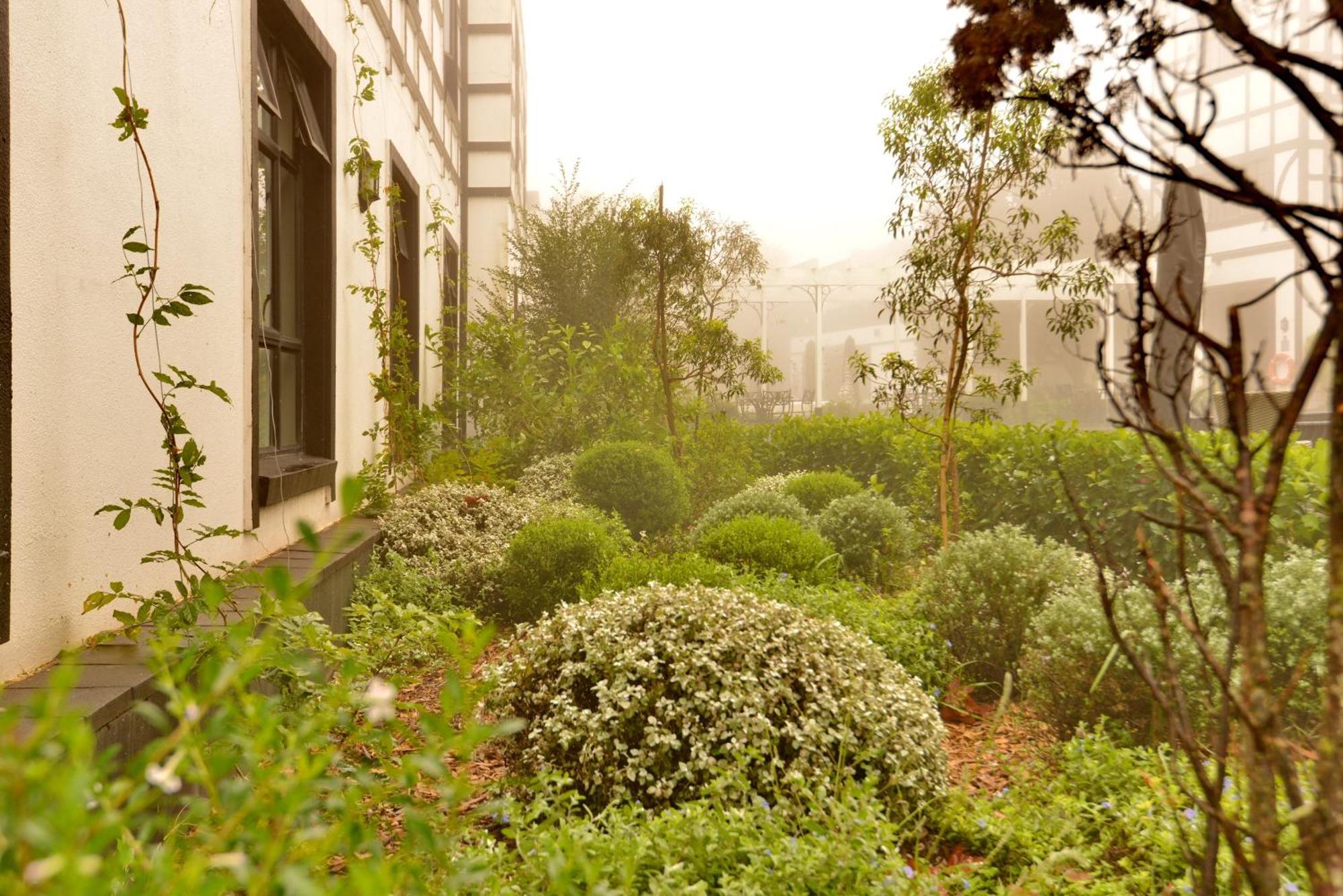 Anew Hotel Hilton Pietermaritzburg Экстерьер фото